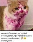 Прикрепленное изображение: 1767950414.jpg