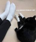 Прикрепленное изображение: 611171832_122117876331096248_5285565557156880969_n.jpg