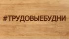 Прикрепленное изображение: Трудовые будни_1.jpg