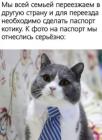 Прикрепленное изображение: 1768615627.jpg