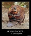 Прикрепленное изображение: 1768472529.jpg