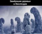 Прикрепленное изображение: 1769643984.jpg