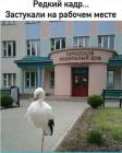 Прикрепленное изображение: 1768963112.jpg