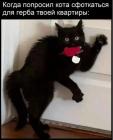 Прикрепленное изображение: 1768982664.jpg