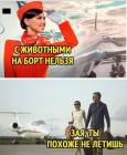 Прикрепленное изображение: С животными нельзя.jpg