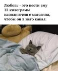 Прикрепленное изображение: Нести наполнитель.jpg
