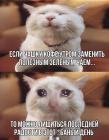 Прикрепленное изображение: Лишиться последней радости.jpg