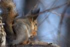 Прикрепленное изображение: DSC_1718.jpg