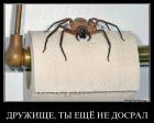 Прикрепленное изображение: aus_wc.JPG