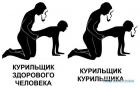 Прикрепленное изображение: image (5).jpg