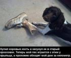 Прикрепленное изображение: 23.jpg