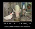 Прикрепленное изображение: Ask.jpg