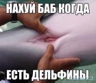 Прикрепленное изображение: 3595004.jpg