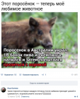 Прикрепленное изображение: image.png