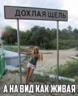 Прикрепленное изображение: 1.jpg
