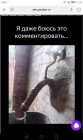 Прикрепленное изображение: Screenshot_2019-02-01-01-42-02.png
