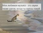 Прикрепленное изображение: C-HTcSc1vP8.jpg