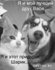 Прикрепленное изображение: 1582274478.jpg