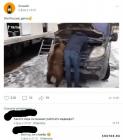 Прикрепленное изображение: 1581408331.jpg