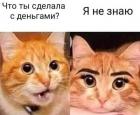 Прикрепленное изображение: IMG_20200219_081229_448.jpg