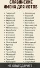Прикрепленное изображение: photo_2020-02-02_06-22-44.jpg