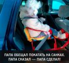 Прикрепленное изображение: photo_2020-02-27_07-41-27.jpg