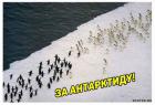 Прикрепленное изображение: 1614327751.jpg