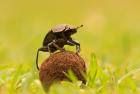Прикрепленное изображение: istockphoto-836625720-170667a.jpg