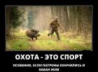 Прикрепленное изображение: 1.jpg