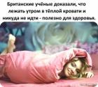 Прикрепленное изображение: Лежать утром в теплой постели.jpg