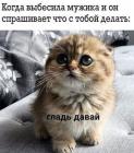 Прикрепленное изображение: post-6633-0-87277900-1612085642.jpg