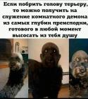 Прикрепленное изображение: 274249974_7890849940932473_8462144207631743597_n.jpg