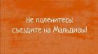 Прикрепленное изображение: 272903653_492150832504056_1175282393406065568_n.jpg