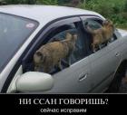 Прикрепленное изображение: IMG_20220206_102420_444.JPG