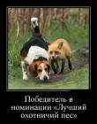 Прикрепленное изображение: EGN153QPpbM.jpg