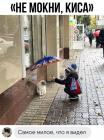 Прикрепленное изображение: 1677221952.jpg