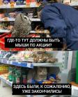 Прикрепленное изображение: 1677264528.jpg