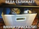 Прикрепленное изображение: 1676212882.jpg