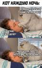 Прикрепленное изображение: котик потревожил.jpg