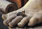 Прикрепленное изображение: Котик на ноге.jpg