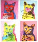 Прикрепленное изображение: Кот.jpg