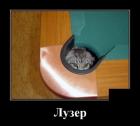 Прикрепленное изображение: veselyj-yumor_33967.jpg