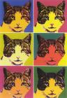 Прикрепленное изображение: Кот-1.jpg