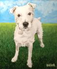 Прикрепленное изображение: Barton-Jack-Russell.jpeg