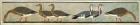 Прикрепленное изображение: Facsimile_Painting_of_Geese,_Tomb_of_Nefermaat_and_Itet_MET_DT226227.jpg
