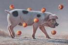 Прикрепленное изображение: 1680511927_animals-pibig-info-p-krasnaya-svinya-zhivotnie-pinterest-47.jpg