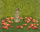 Прикрепленное изображение: 5-Ditz-Ditz-The-Apple-Mouse-Meister-Drucke-550948.jpg