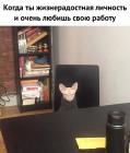 Прикрепленное изображение: Жизнерадостная личность.jpg