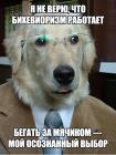 Прикрепленное изображение: Осознанный выбор.jpg