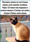 Прикрепленное изображение: 1768273278.jpg